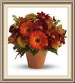 Trixes Floral Design, 843 N Cleveland Massillon Rd, Akron, OH 44333, (330)_670-9500